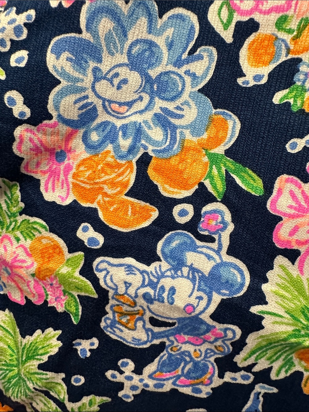 Lilly Pulitzer X Disney
Shorts - Picture 3 of 4